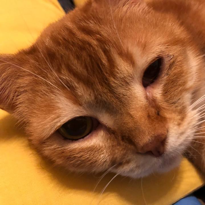 71773c9c 59a1 4ad8 8917 128e8cfb26ec 1550999233398