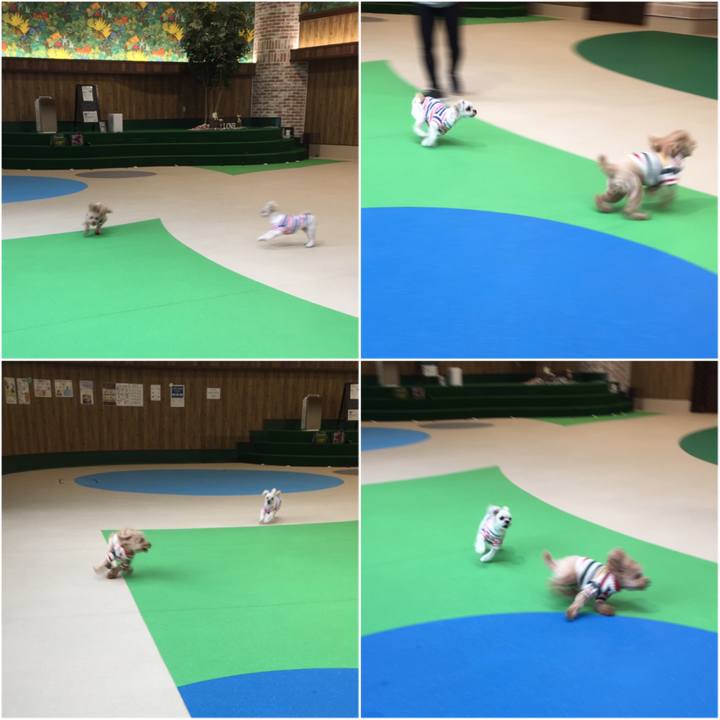 71774bb5 bba0 4ccd b120 2ea12f53322a 1517569204323