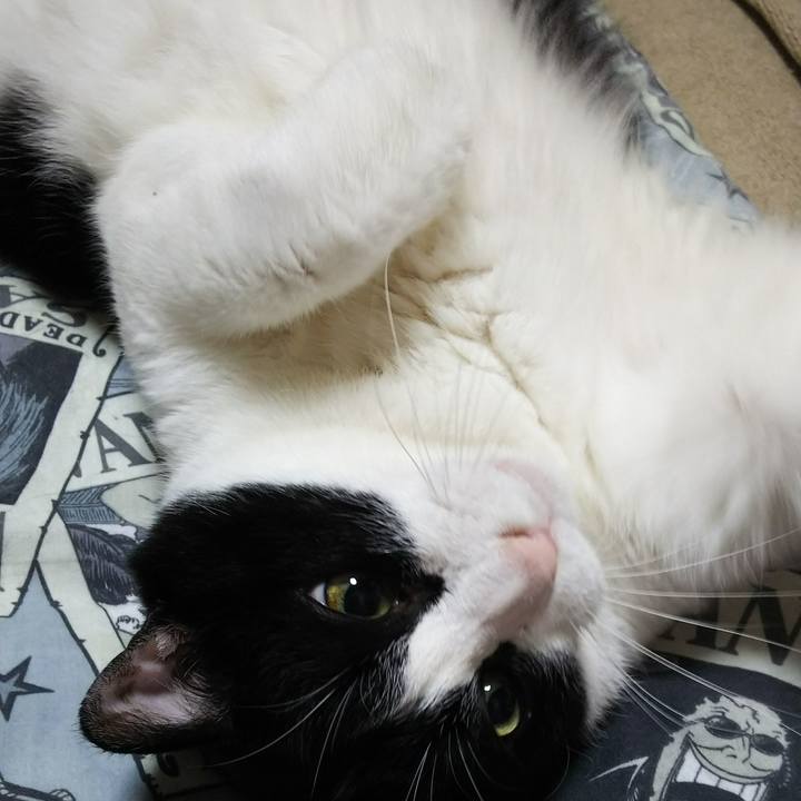 7177d778 e411 4acf 9650 d6d069e251ee 1533990766837