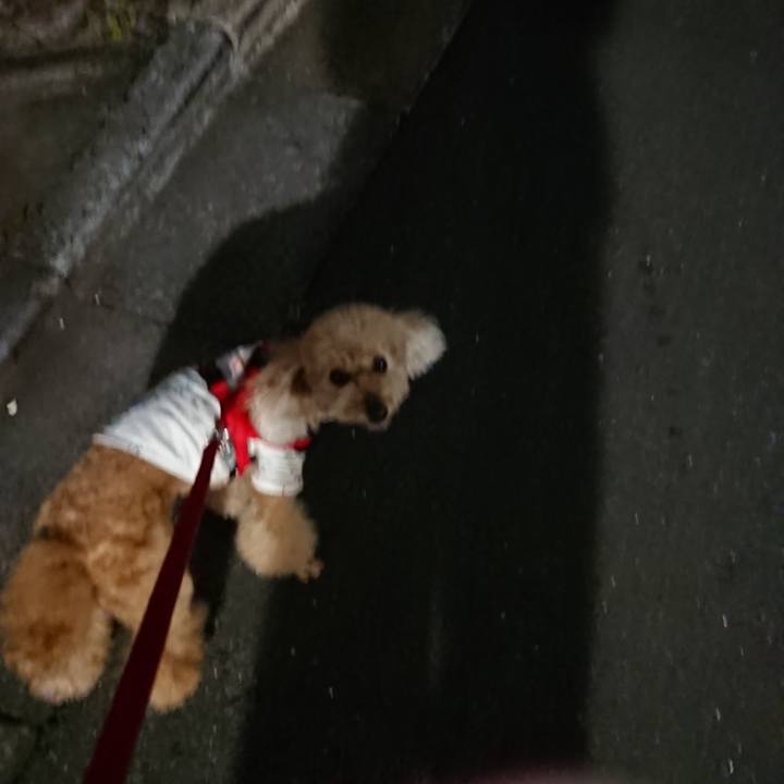 7177e89a a3fb 4b47 936a c1299d6a4476 1589111367918