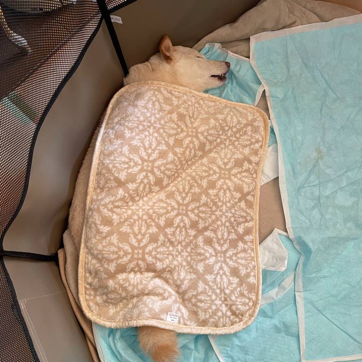 7177eb9e 17ec 4b13 9a04 2122a9e67880 1641268512578