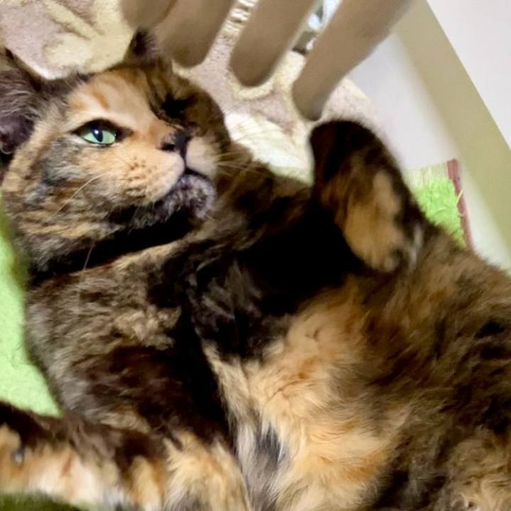 71781fb4 d90a 4ae8 867a 80733ead04bc 1734349373994