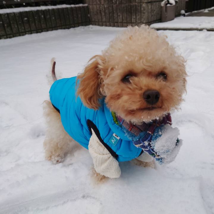 71784d47 f664 4321 b49e 9113841f4981 1770511979100