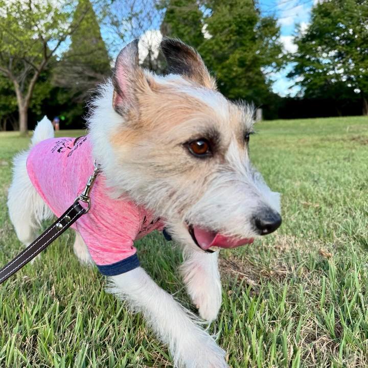 71788db8 d1f7 4fa7 8839 f04a3a660f07 1727098185467