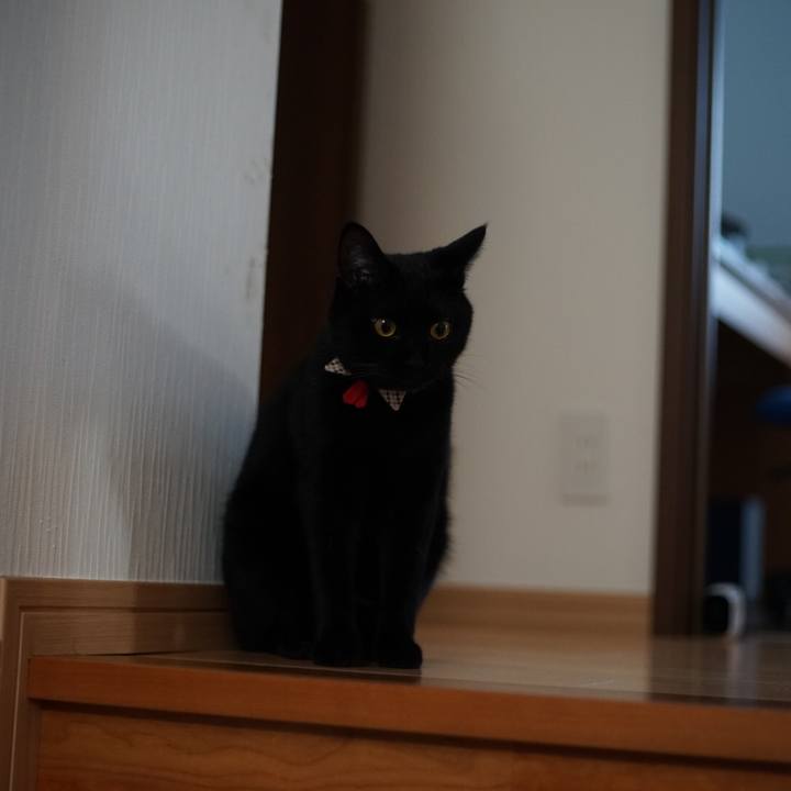 7178b328 11e2 4426 b965 8437977a3367 1532078595192