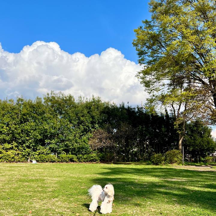 7178eeb2 fa29 476e 99a0 c6a40398259e 1680167556503