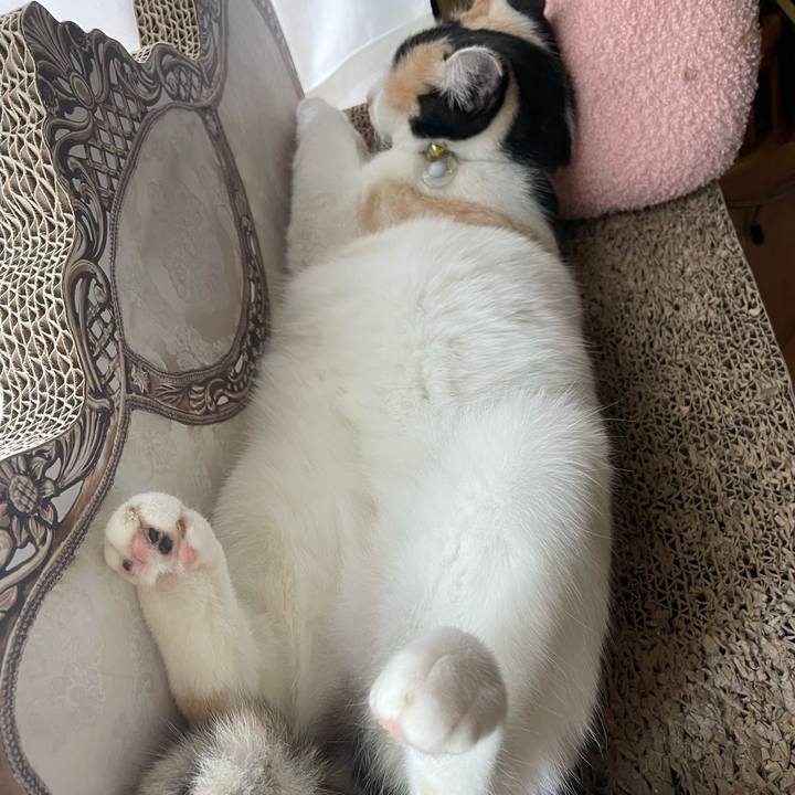 71791a0e aab8 4a1a b7a6 d6c6780352ac 1688970316914