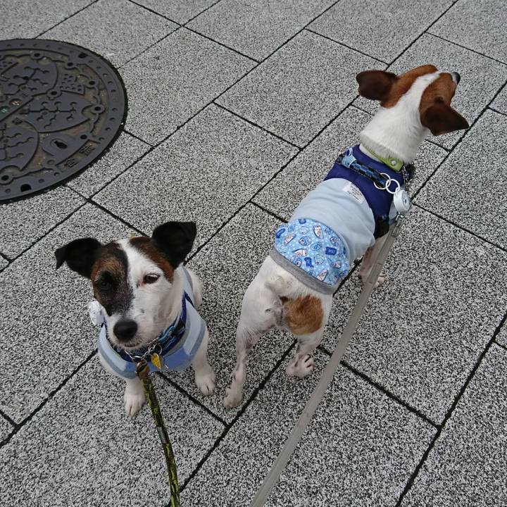 71791df5 01ef 43f4 b21f e11e2f872a7f 1563401165839