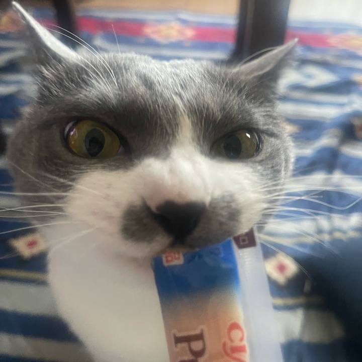 71795b64 871a 4474 aa36 fcbde5c404d8 1682147618457