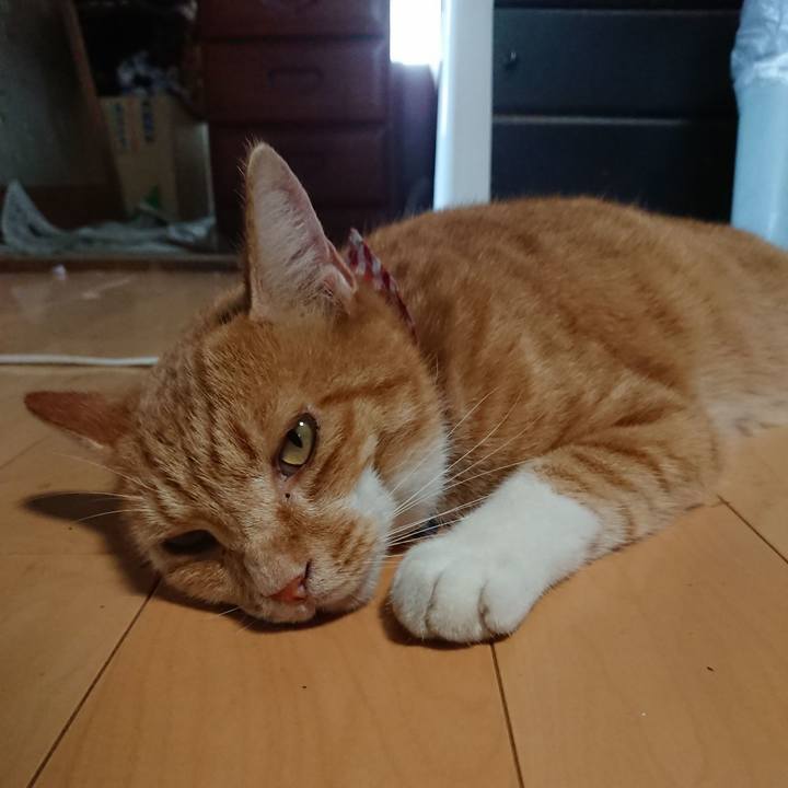 71795f18 5b09 4d82 90ac f488960e6185 1598772430388