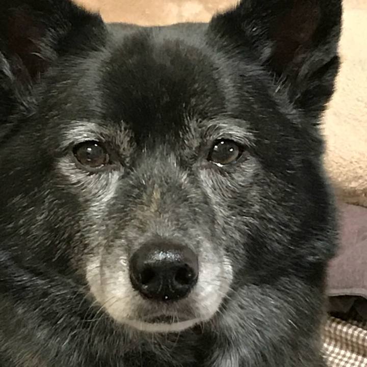 717980b8 5e8d 420e 823f 9c01afa6ac43 1514815991258