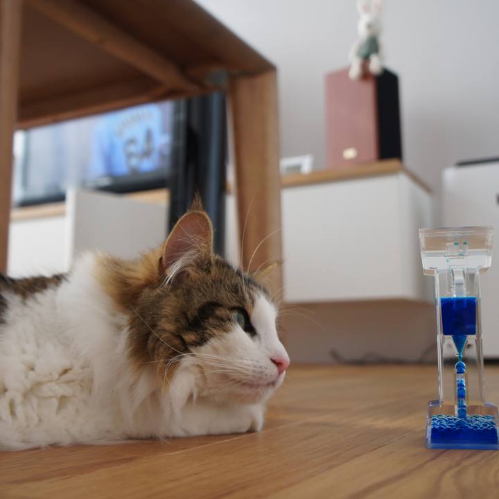 7179817d 0bb6 498a b4d5 3b5b22c5f682 1528542759710