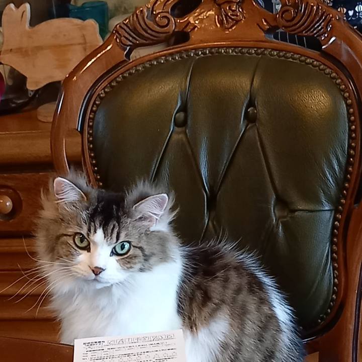 7179a394 126e 424e b705 b63602f53afa 1645398060292