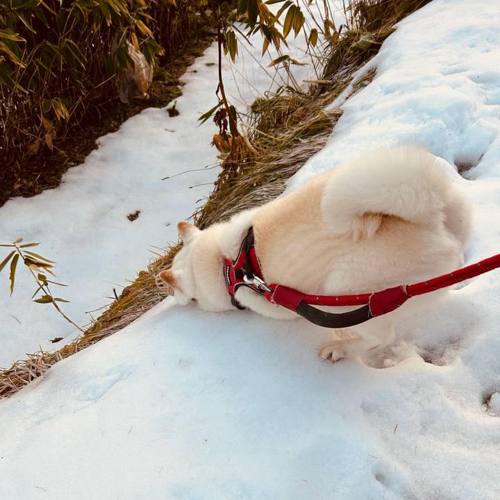 7179c5c9 af59 4afc 89d8 12ea6142e5ec 1764031401345