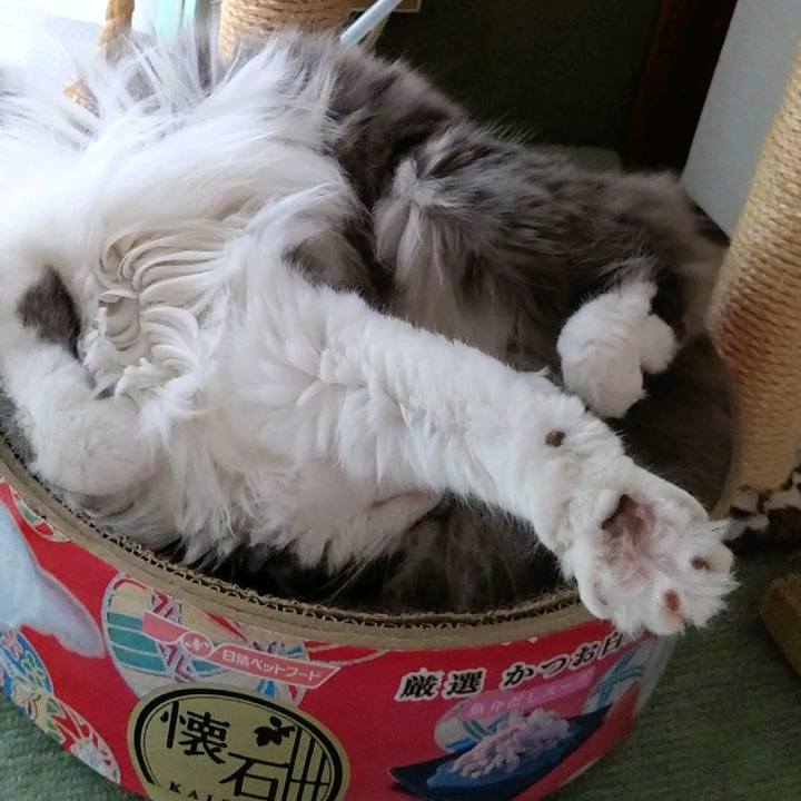 7179cb49 8c14 4f0b bab0 86cb13747edd 1596927376206