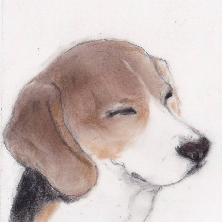 717a01b1 7deb 402c bc64 41d5eafe637d 1744509093287