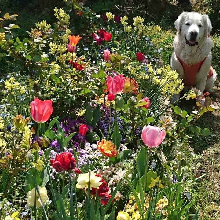 717a31bd e668 4b20 a7e8 045b9d61a4cd 1542339390812