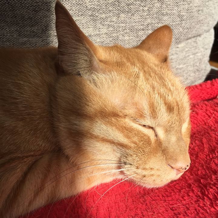 717a8c4f 3fc7 4885 9a93 88c9928dae83 1549112054839