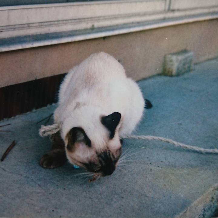 717b04ad 19a2 439c 8565 7d19331128ce 1599682678606