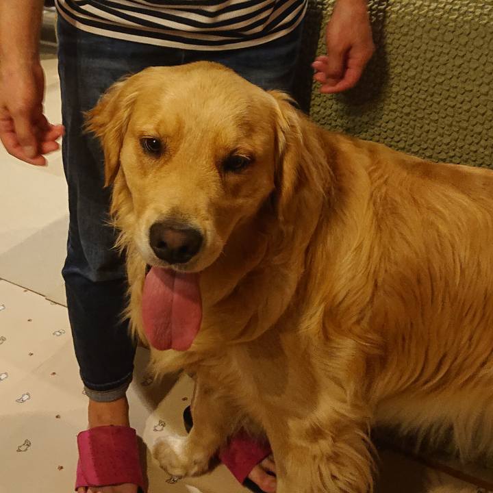 717b599e 24b5 4d28 8883 83d1bd985247 1594023864426