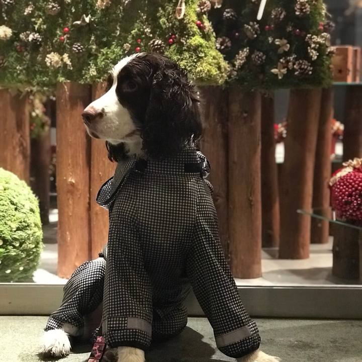 717b63fb 609a 4c5b 87da 5aa6283dd120 1511448494049