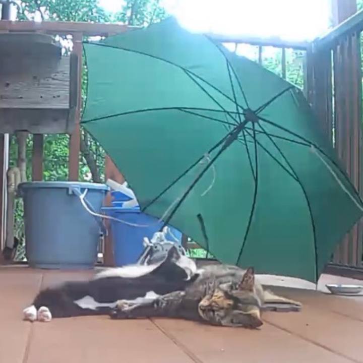 717bc7de 9728 423c 9fed 047a923fa994 1773088354005