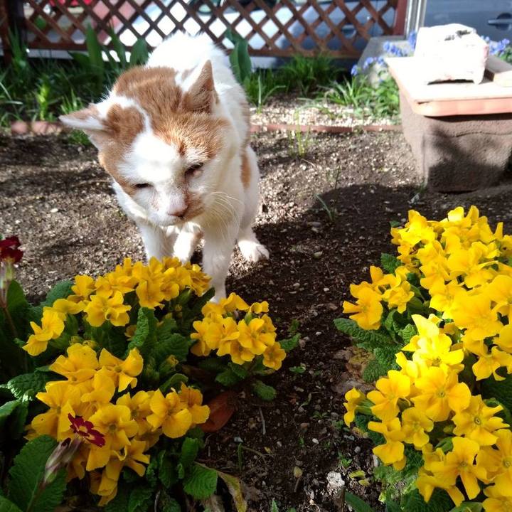 717bdb39 0c9b 484a 9114 822d6c512694 1652504180033