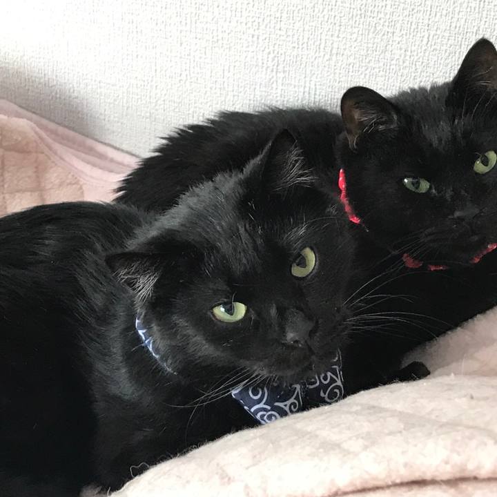 717be17e 6d83 44ab a7a4 9bb54f4909f1 1561248791653