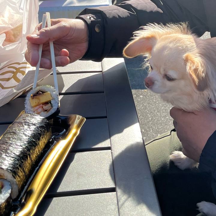 717c233d 4298 404d b4b5 3c5cd3c15f24 1737016599573