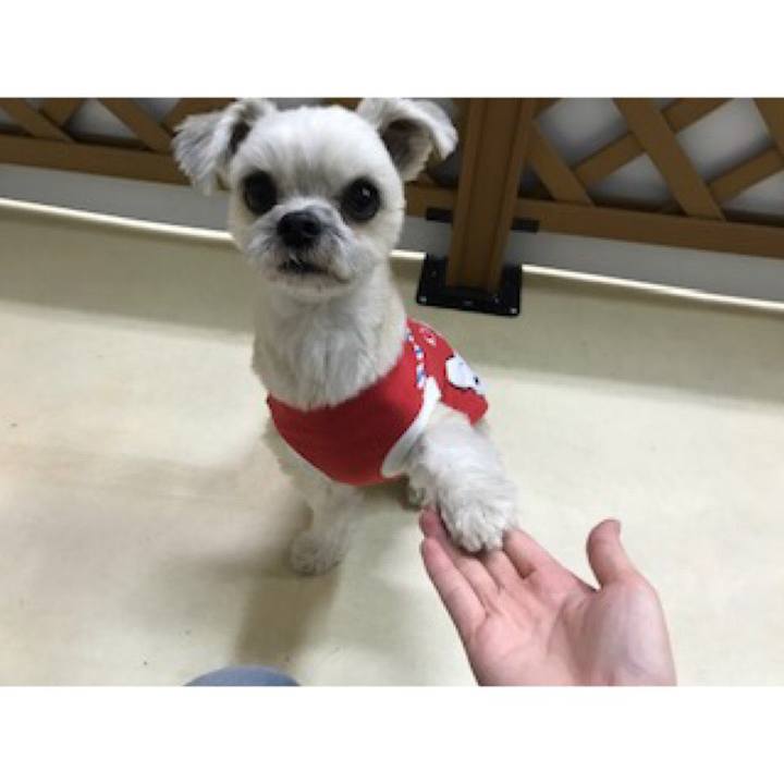 717c2cd2 00da 4a04 a81e 892d11d68e10 1550139728973