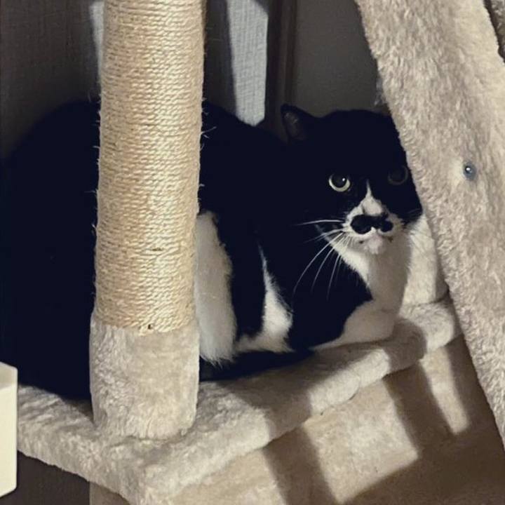 717c36a9 1d48 432e aae6 237d3b9546c0 1652531928509