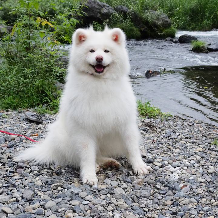 717ca29c 2b70 4d40 aa66 18cd153f484b 1662273903714