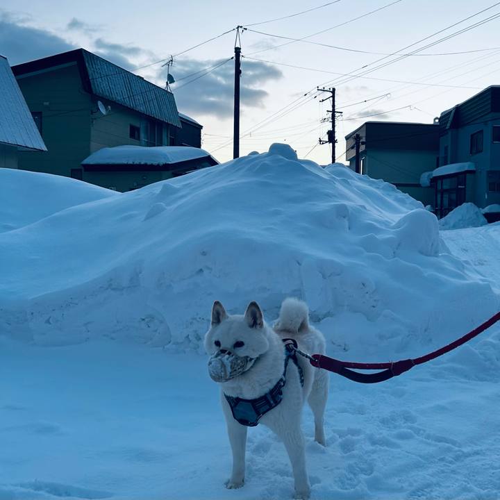 717cb187 e248 475b 88d0 49253df9702d 1736029606244