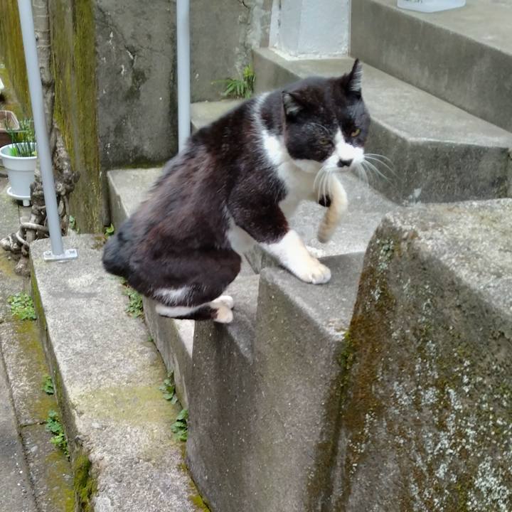 717cb19e 3ef6 4a8b 9315 52250d9fe4a4 1711238497469