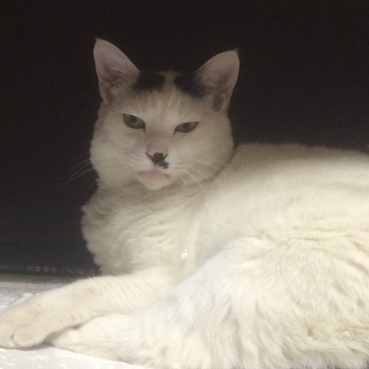 717cbd93 fb9a 4c4a a422 dd83c32ecad2 1528903417653