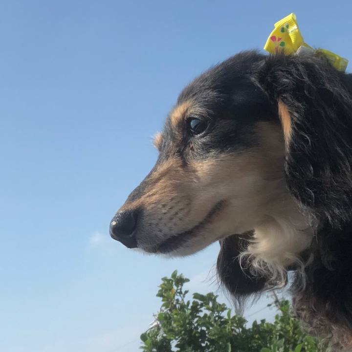 717cc545 69d1 4a9c b49e 82760849c33a 1563927660292