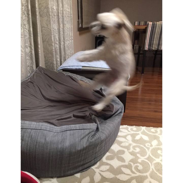 717cdfcb d3ac 490f aa87 42c7fac358b3 1546259685944