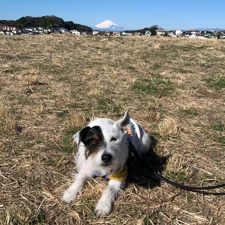 717ce98b 68b3 4c90 93dd e593aaa883ef 1677374526402