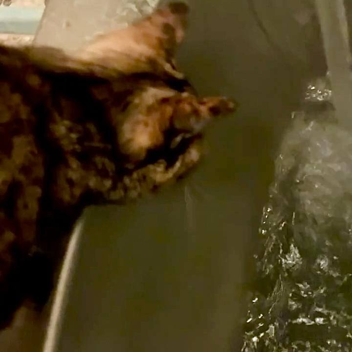 717d281c c428 47ab b0cf 9f8be3104889 1752700864465