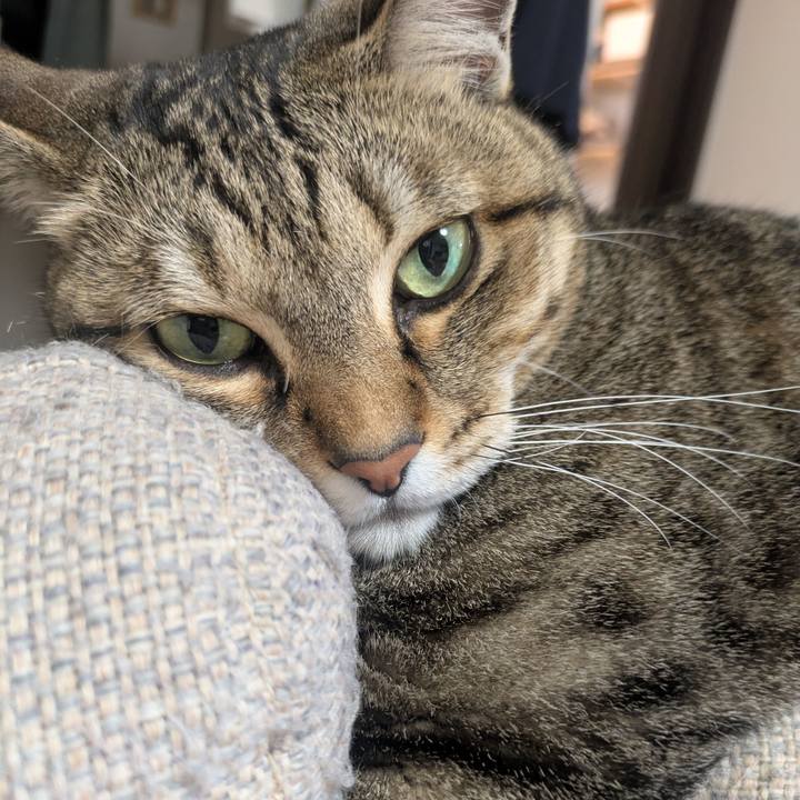 717d9cd6 de3b 47d1 be3c 49ab17c04b0a 1758807210704