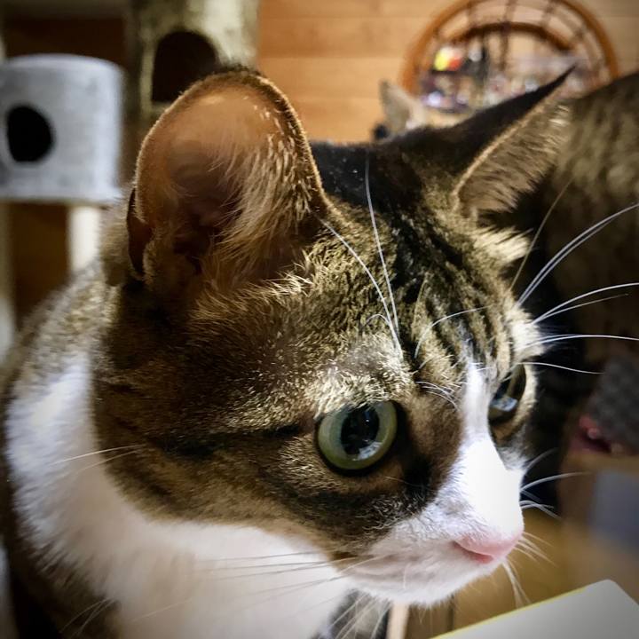 717dc733 3b51 4e6c 9a1a f6026b19dbb3 1519479012477