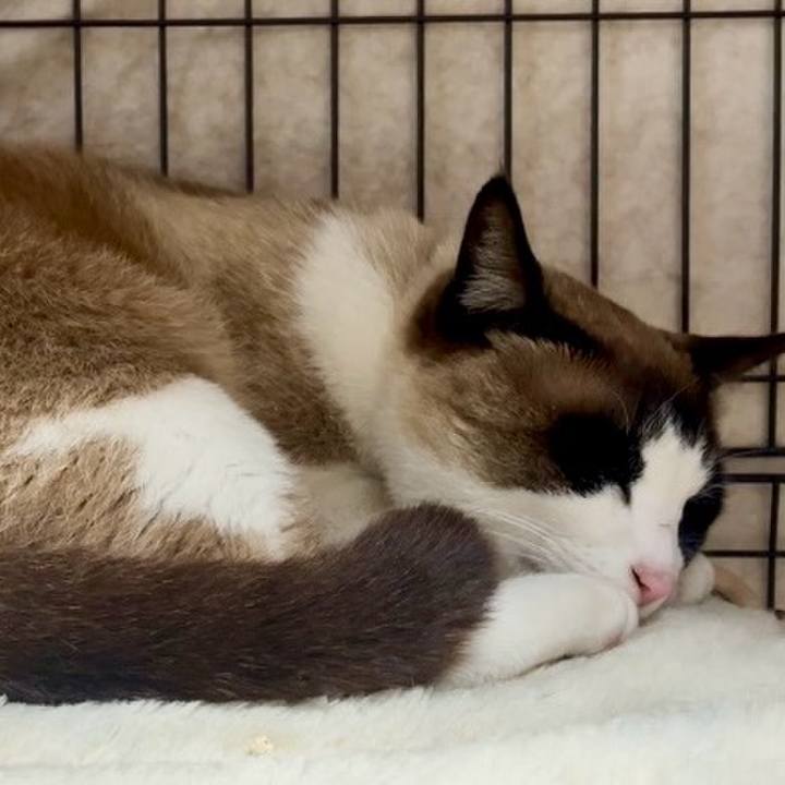 717dd680 2706 42b4 95d7 f3e8cc911bbc 1744968589574