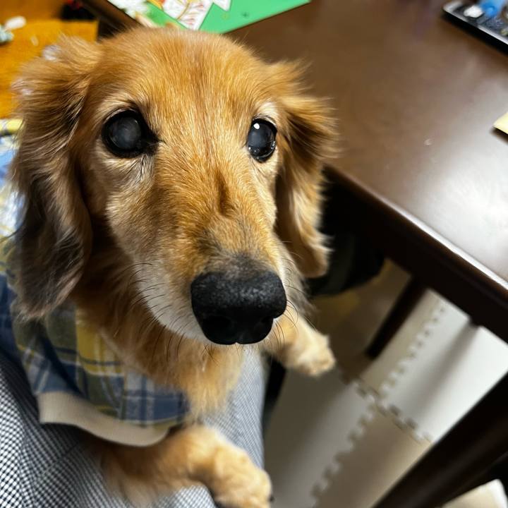 717e2f2b c766 41e5 8dc3 05b2e2a22c3e 1668691227777