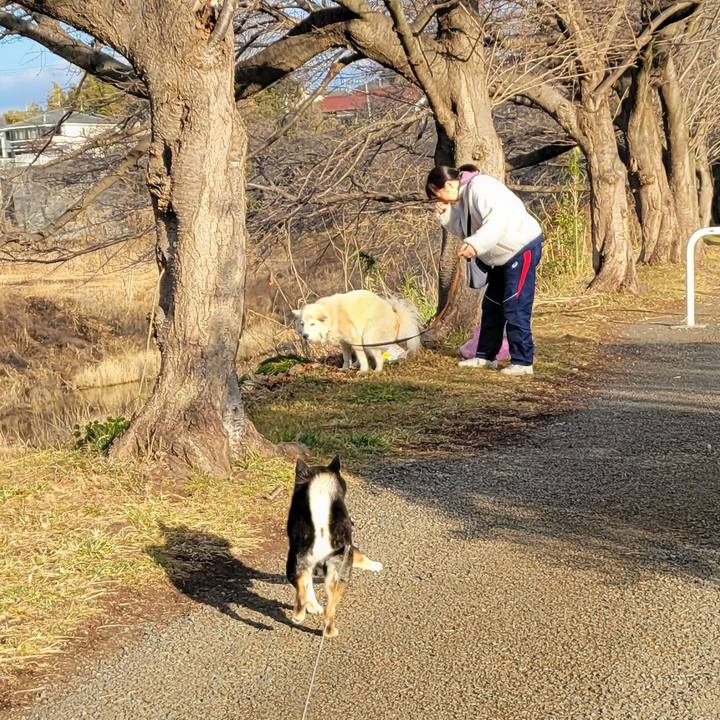 717e4c88 515d 4f6c 99aa 07aa9b0b17c0 1770943159469