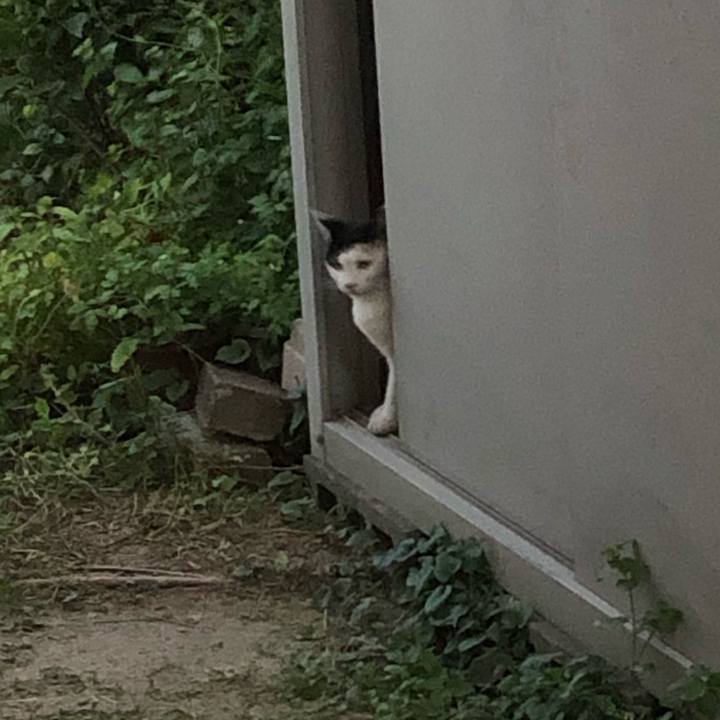 717e55b6 8361 49a8 a092 1a98a10d683a 1602155598340