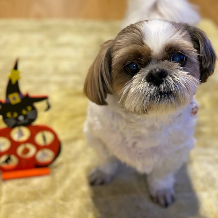 717e56b4 3e81 4905 a280 c077b89908a1 1667210330152