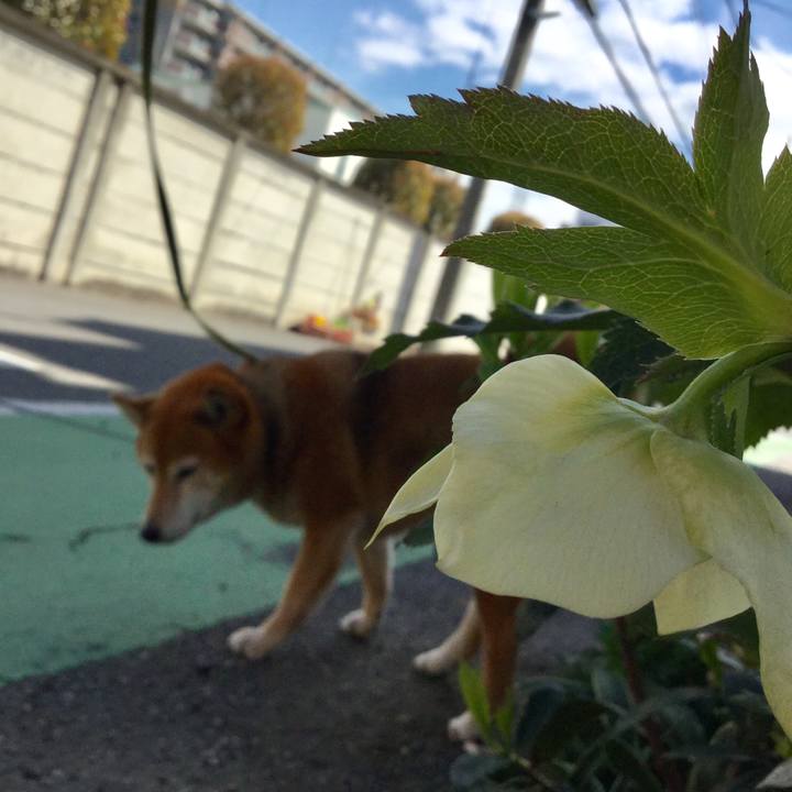 717e6420 33ee 44e0 94bd 770a4e91d081 1584416723523