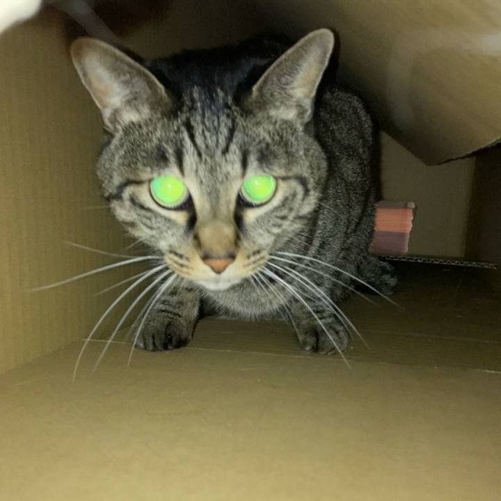 717e918c fad8 4cc5 b2b6 8a9aa411d762 1647568155957