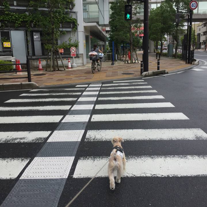 717e9c5b 59b0 4857 975a 7d905970afc2 1561959137155