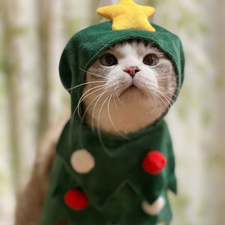 717ece30 eb00 4749 9c36 49ed56ef1f22 1607595024064